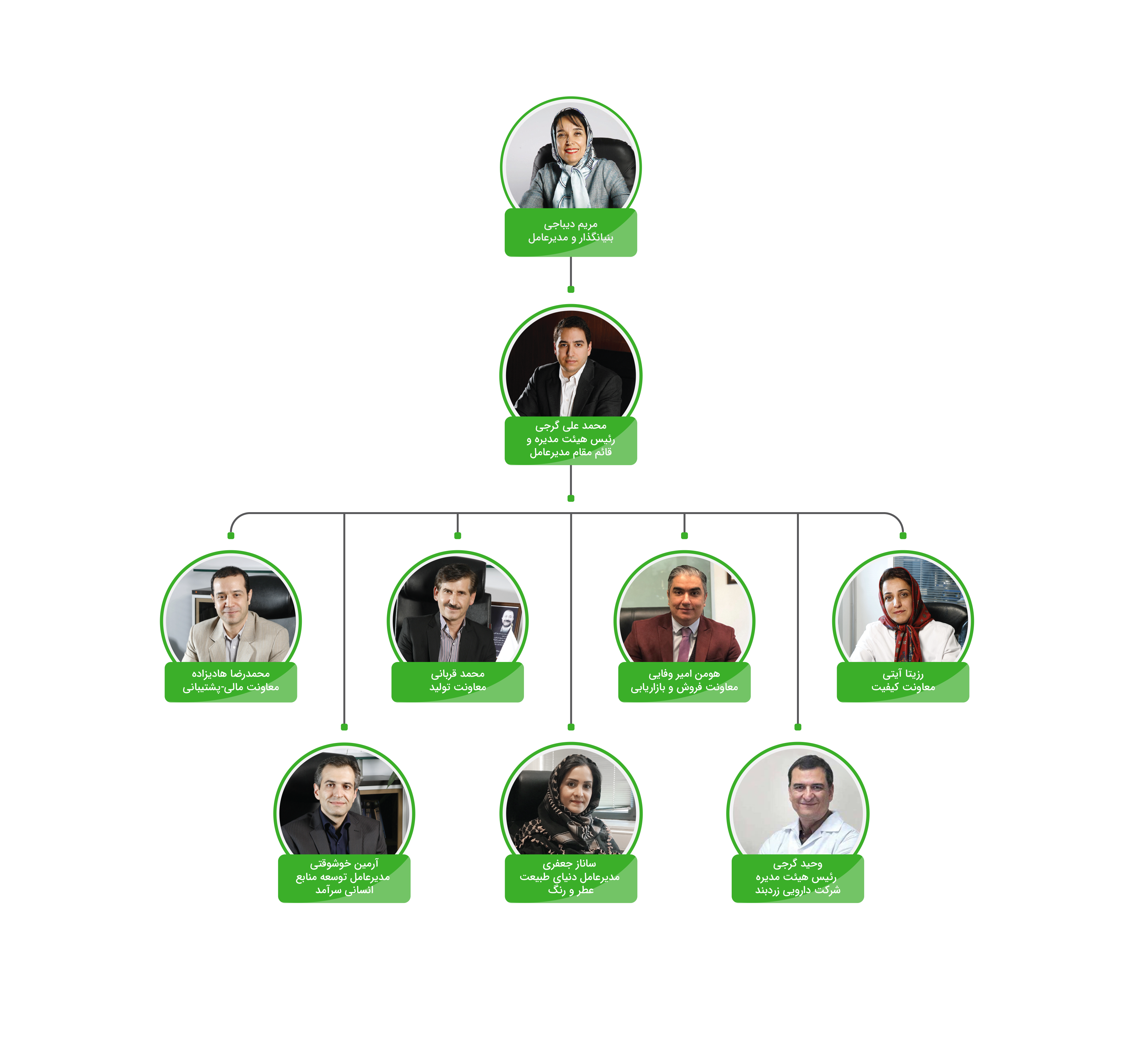 Senior Management